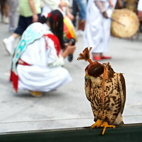 Medieval Market in Castell d'Aro